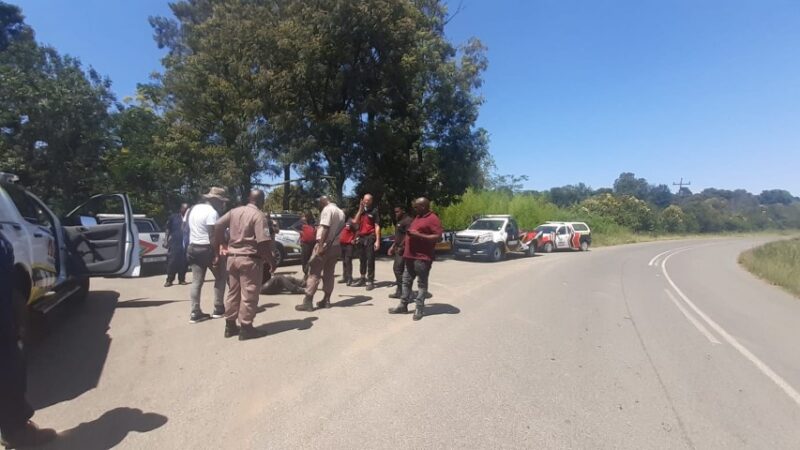 Suspects Arrested for Cable Theft - Mi7 National Group